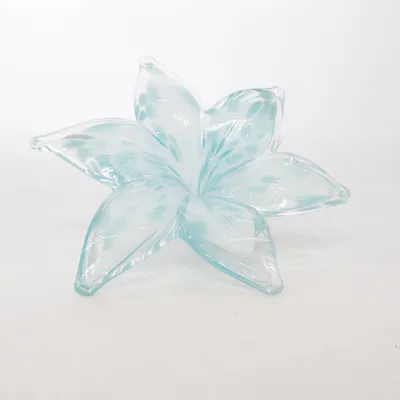 Décoration intérieure (Turquoise)