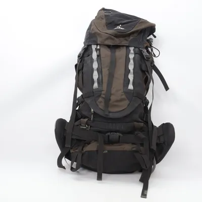 Hiking backpack (Black, Brown) from Deuter