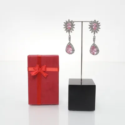 Oorbellen (Roze, Zilver) Onbekend materiaal