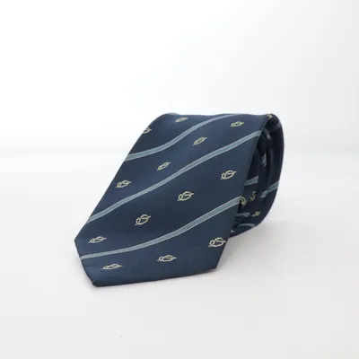 Tie (Blue) from Salvatore Ferragamo Silk