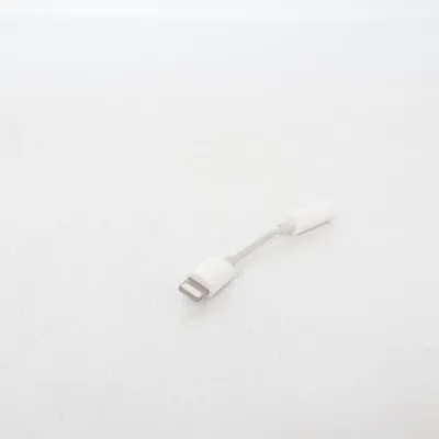 Câble AUX de Apple