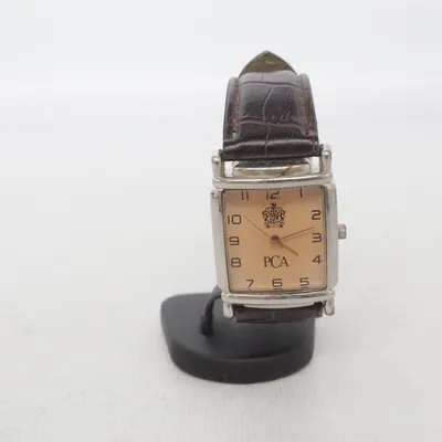 Wristwatch (Brown, Silver) from PCA