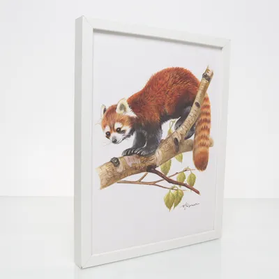 Wall decor (Multicolored) from IKEA