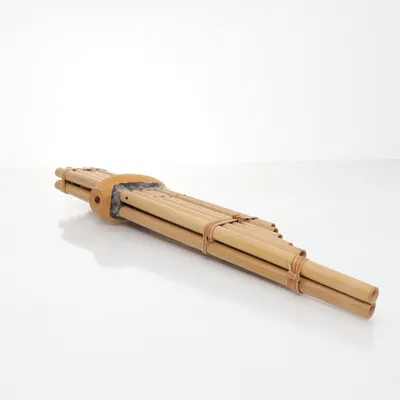 Instrument (Brun)