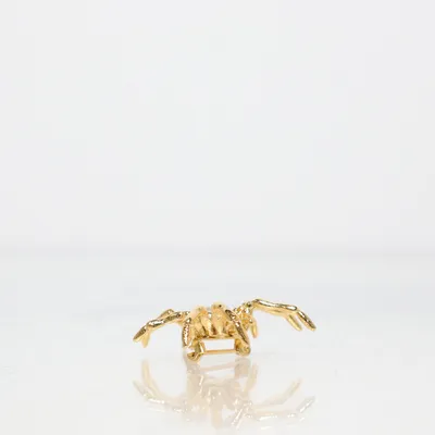 Brosch (Guldfärgad) Okänd metall