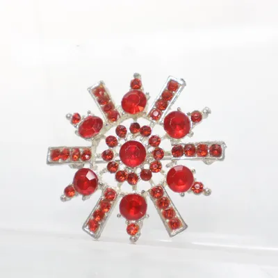 Brooch (Silver, Red) Unknown metal