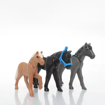 Leksaksdjur (Flerfärgad) från Playmobil