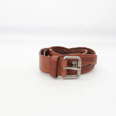 Riem (Bruin) van Lanidor