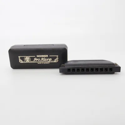Harmonica (Pro Harp) from Hohner