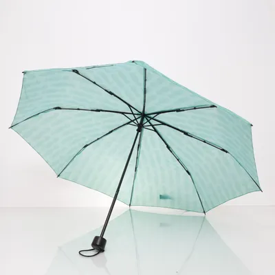 Paraplu (Groen) van Normal