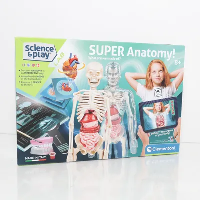 Byggsats (Flerfärgad) från Clementoni