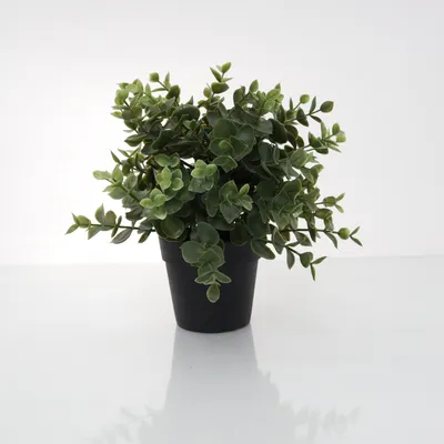 Kunstplant (Groen) van IKEA