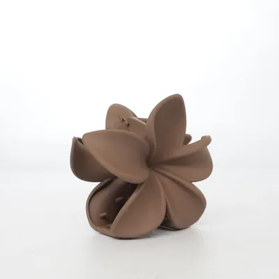 Hair clamp (Brown)