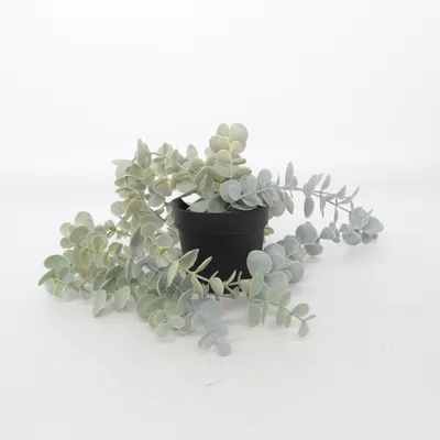 Kunstig plante (FEJKA) fra IKEA