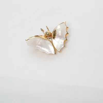 Brooch (Gold, White) Unknown metal