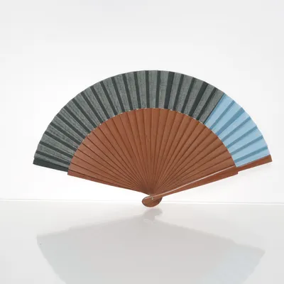 Fan (Bruin, Meerkleurig)