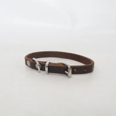 Hundhalsband (Brun) från Active Canis