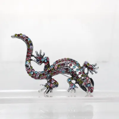 Brooch (Silver, Multicolored) Unknown metal