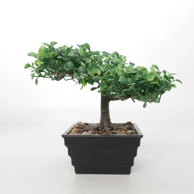 Plante artificielle (Vert)