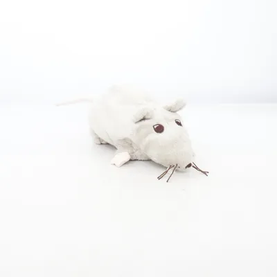 Jouet pour chat (Gris)