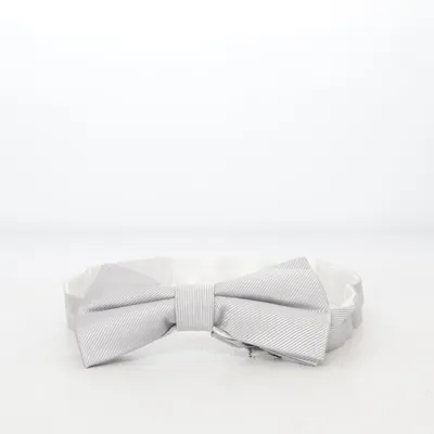 Noeud papillon (Gris)