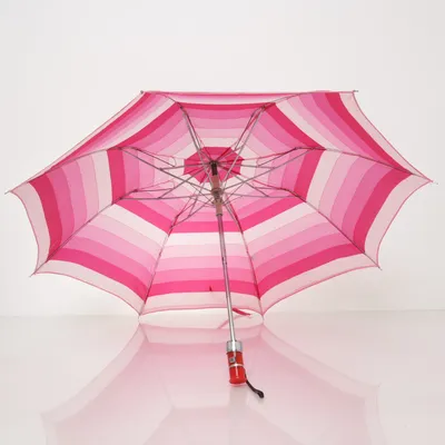 Paraply (Rosa)