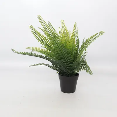 Artificial plant (Green) from IKEA
