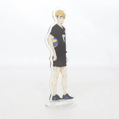 Game-accessoire (Meerkleurig) van Haikyuu