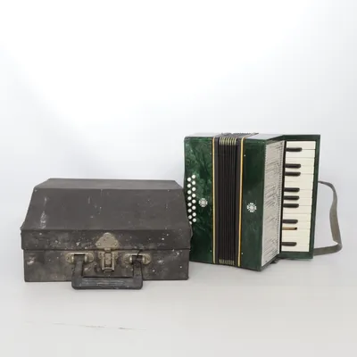 Accordion (Green, Black, White)