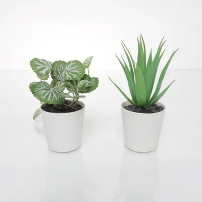 Artificial plant (Green, White)