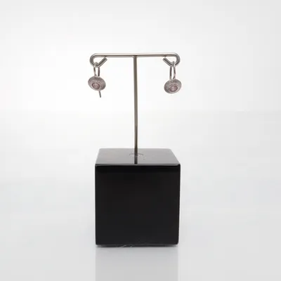 Örhängen (Silverfärgad) från Fossil Silver