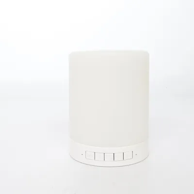 Bluetooth speaker (Mood) from Roxcore
