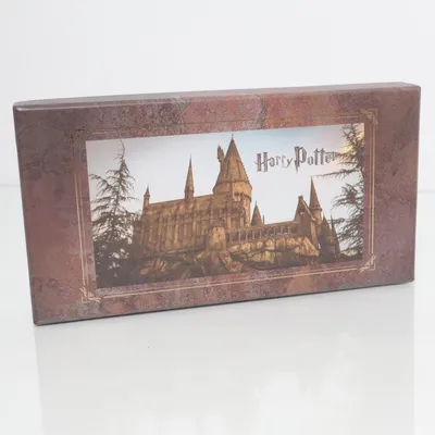 Maskeradtillbehör (Flerfärgad) från Harry Potter