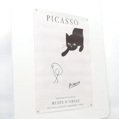 Poster van Picasso