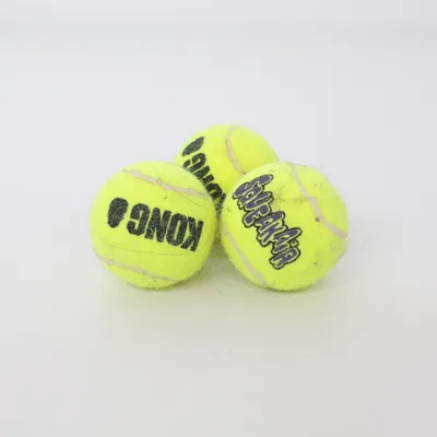 Dog toy (Yellow) from Kong