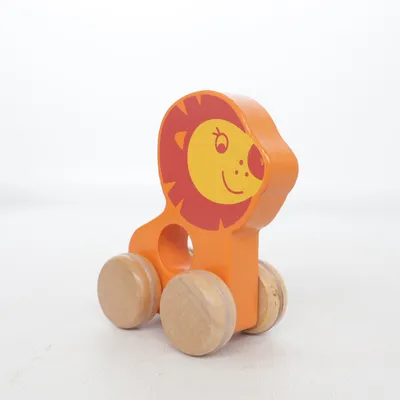 Træklegetøj (Orange, Flerfarvet) fra Eichhorn