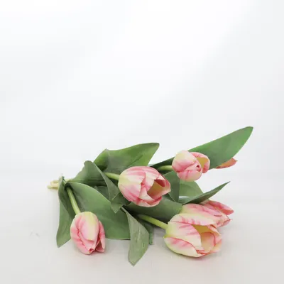 Kunstplant (Roze, Groen)