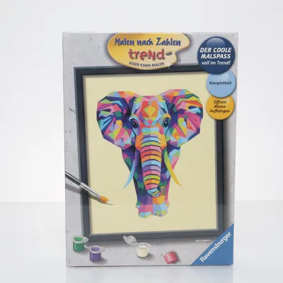 Hobby benodigdheden (Grijs, Meerkleurig) van Ravensburger