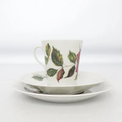 Cup (Ruusu) from Arabia Finland