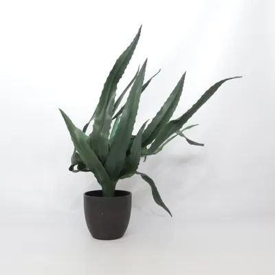 Plante artificielle (Vert) de Jysk