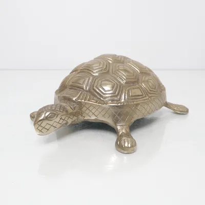 Dörrstopp (rock, heavy, metal,turtle decor, tortoise decor, brass turtle, turtle figurine, animal decor, vintage decor, boho home decor, nature decor, zen decor, spiritual decor, yoga room decor, meditation room, cottagecore decor, coastal decor, ocean aesthetic, wildlife decor, lucky turtle, feng shui decor, symbolic decor, gold decor, metal figurine, home styling, shelf decor, collectible figurine, retro home decor, earthy aesthetic, calming decor, hippie decor, bohemian home, cozy room decor, aesthetic decor, unique gift, sea life decor, animal lover gift, natural aesthetic, rustic decor, mindfulness decor, zen home, peaceful aesthetic, Pinterest decor, cute decor, mystical decor, turtle lover, slow living aesthetic, vintage collectible, decorative ornament, home accessory, rare decor, cottage aesthetic, spiritual home goth, skull, tiktok, y2k, trending, black, halloween, festival, street, dress, black, party, Y2k, trending, street, summer, jacket, bomber, style, festival, sport, gym, tiktok, doll, trending,street, dark, party, emo, goth, Hell, skull, playboy, santa, christmas, Boho, bohemia, bohemian, hippie, hippy, cosplay, vintage, retro, craft, steampunk)