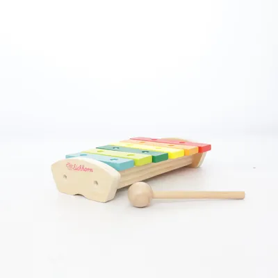 Leksaksinstrument (Flerfärgad) från Eichhorn