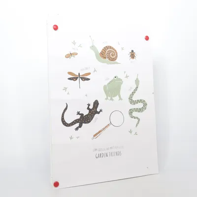 Poster (White, Multicolored) from H&M Home