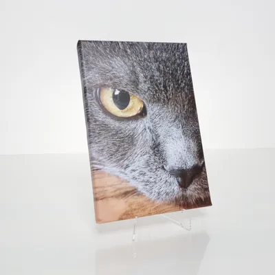 Schilderij