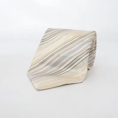 Cravate (Beige, Gris) de Carlo Palazzi Soie