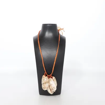 Halsband (Brun, Vit) Okänd metall
