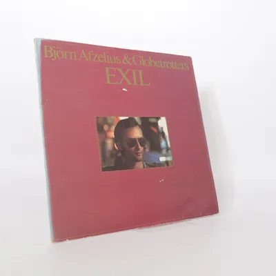 Vinyl record