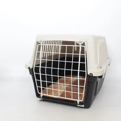 Transport cage (Beige) from Ferplast