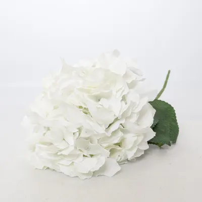 Kunstplant (Wit) van Hortensia