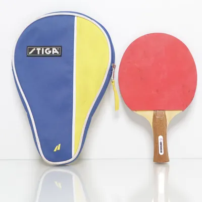 Pingisracket (GIANTDRAGON) från Stiga